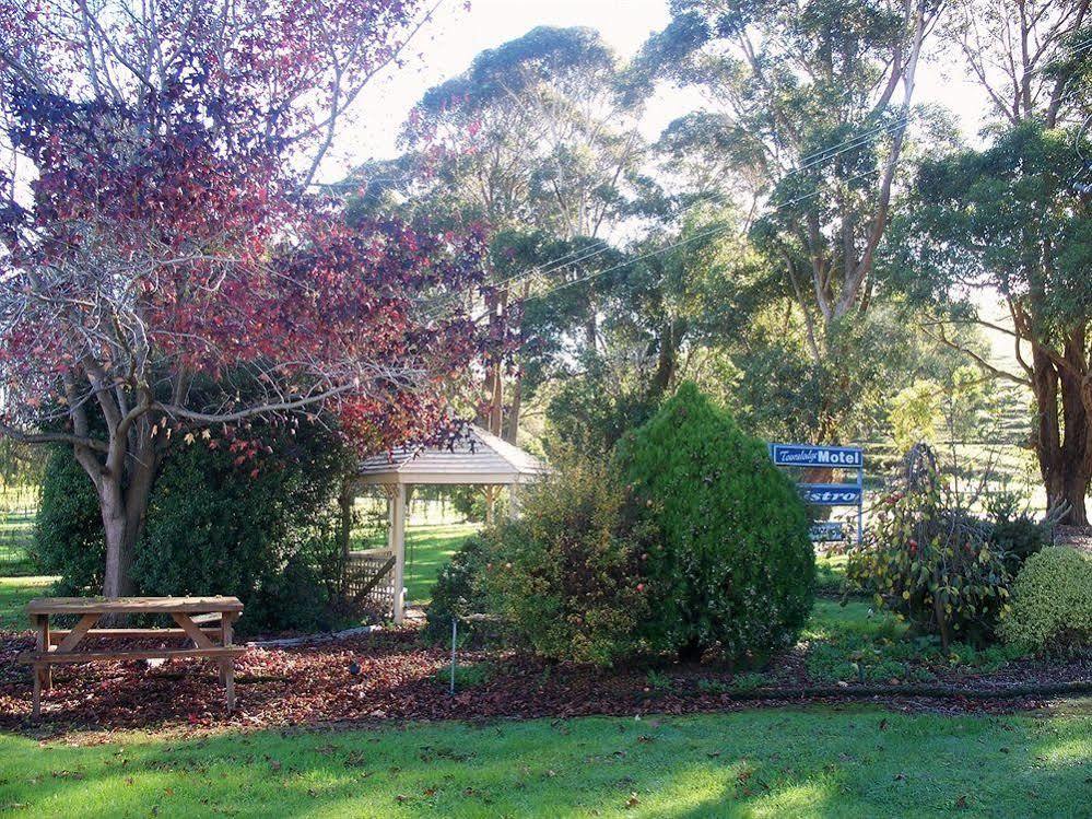 Toora Lodge Motel Exterior photo